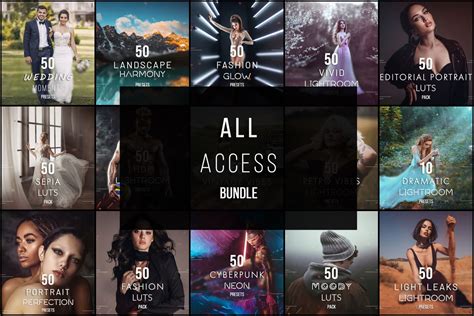 Access Presets In Lightroom Catalog