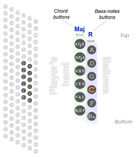 Accordion Bass Buttons Chart