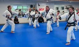 Achievers karate academy
