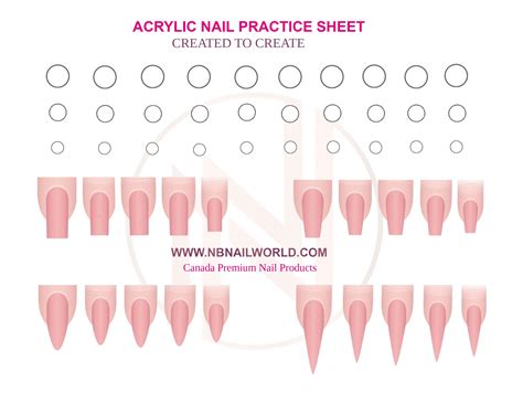 Acrylic Nail Template