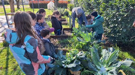 Action Vauvert à Vauvert