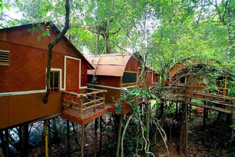 Adavi Eco Tourism Bamboo Hut