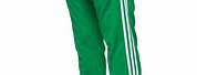 Adidas Green Cargo Pants