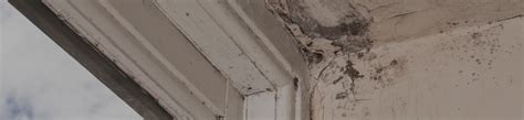 Advanced Damp | Damp Proofing Dalston, London