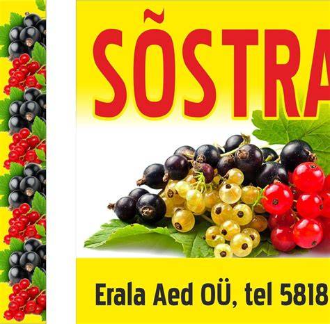 Aed OÜ 