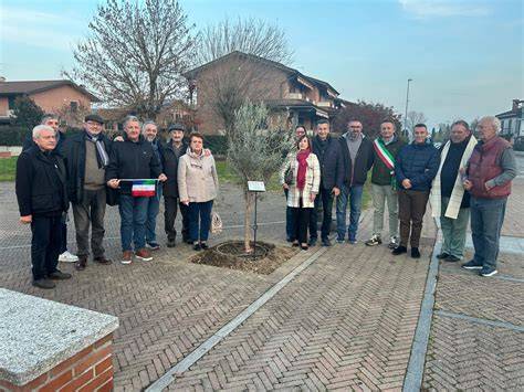 Albero amici Naples