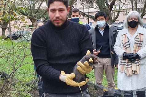 Alexandre Raynal à Cauterets