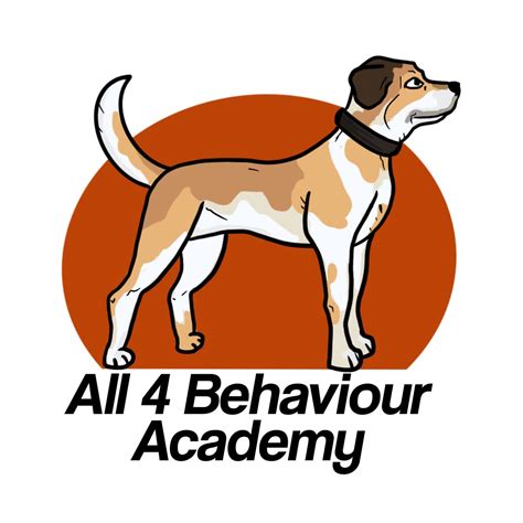 All 4 behaviour academy