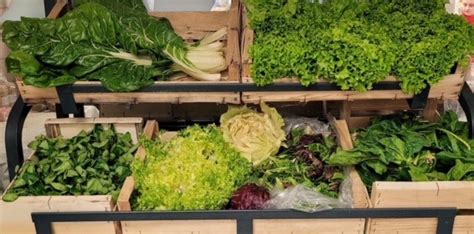 Allevard Primeur à Allevard