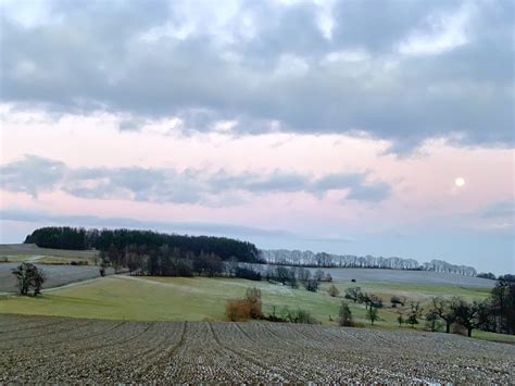 Am Triebenberg Dresden