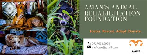 Aman's Animal Rehabilitation Center
