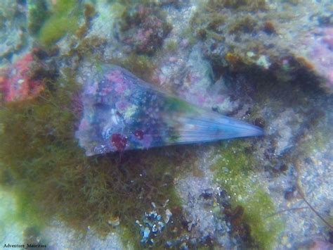 Amber Labelle à Larche