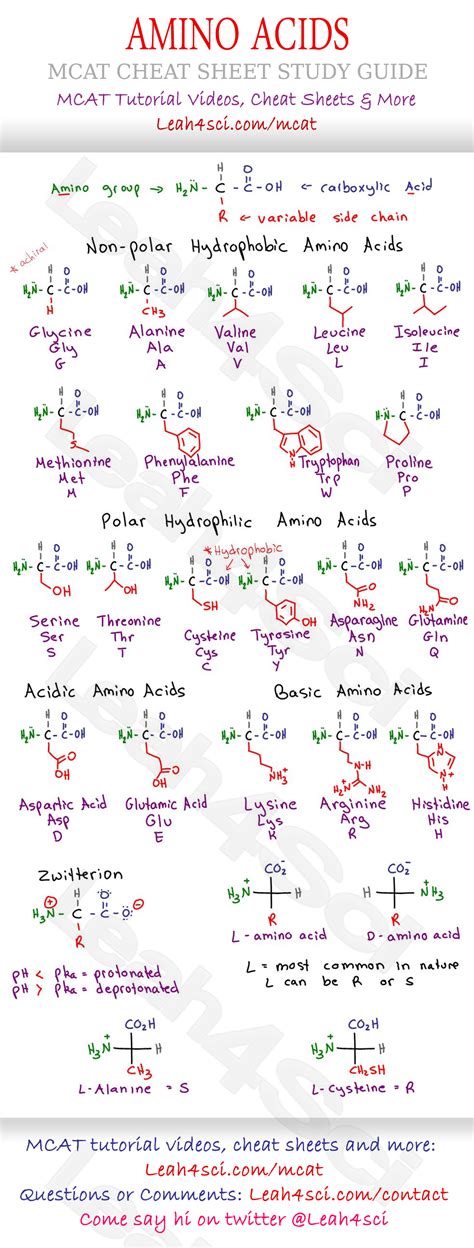 Amino Acids Chart Mcat