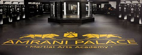 Amrani Palace - Martial Arts Academy