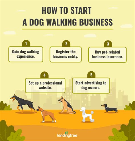 Andy’s Dog Walking Business