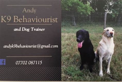 Andy Wilson - Behaviourist / Dog Trainer