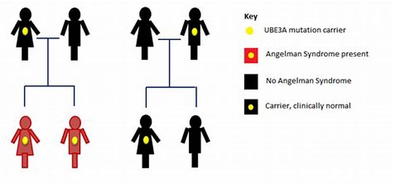 Angelman Syndrome Inheritance Pattern