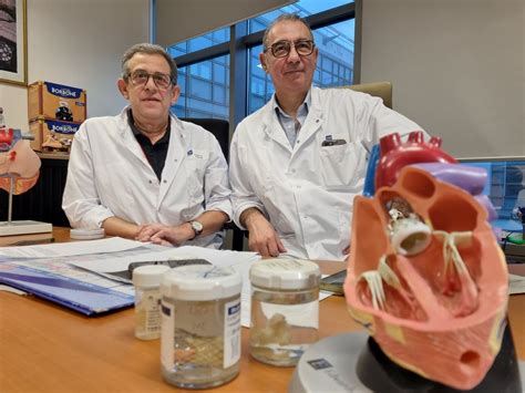 Angioi Michael à Nancy