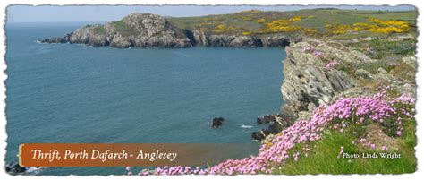 Anglesey Area of Outstanding Natural Beauty (AONB)