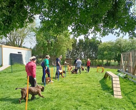 Anim'O Perch' & Gîtes (AOPEG) à Dangeau