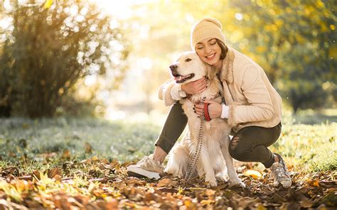 Anim Alim à Limalonges