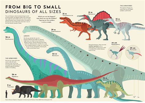 Animal Dinosaur Size Comparison