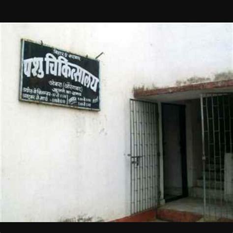 Animal Hospital / Pashu Chikitshalaya