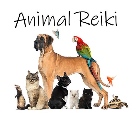 Animal Reiki Soul Connections