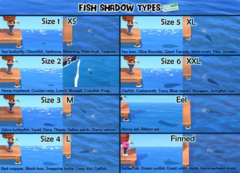 Fish Shadow Size