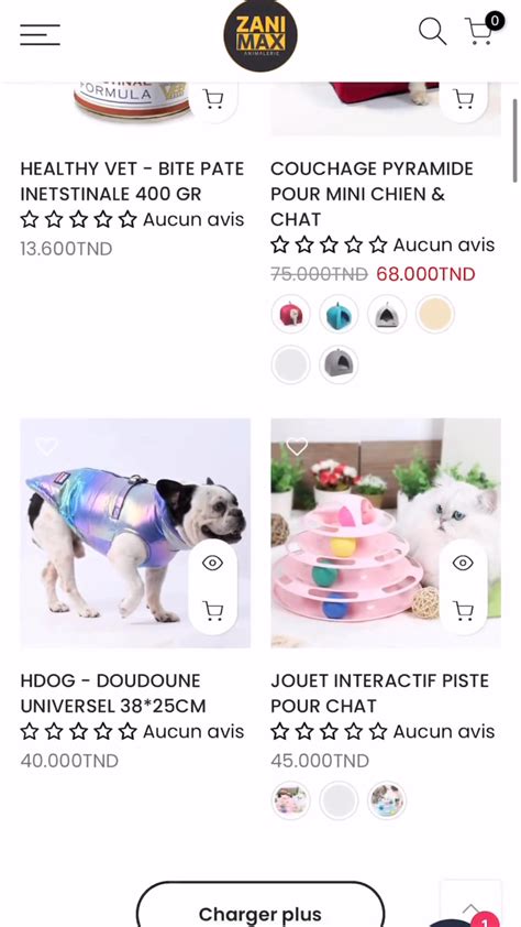 Animax à Paimpol