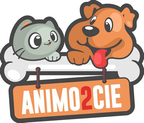 Animo2Cie à Avreuil