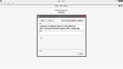 Anki Cloze Template