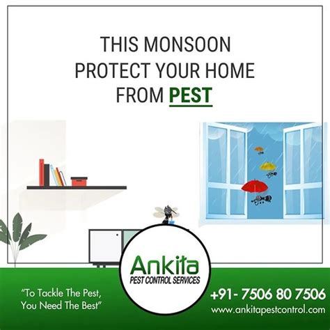 Ankita Pest Control Services (Mahim)