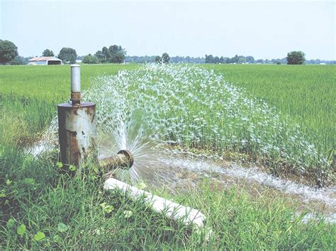 Annamalaiyar irrigation system