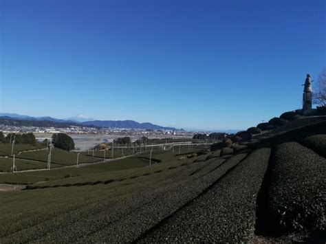 download Anno nuovo...