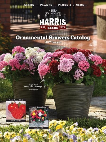 Annual Flower Seed Catalogs
