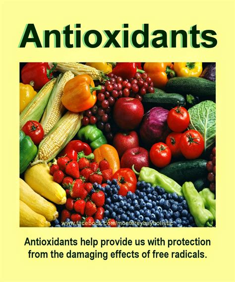 Kandungan Nutrisi Antioksidan di Sage