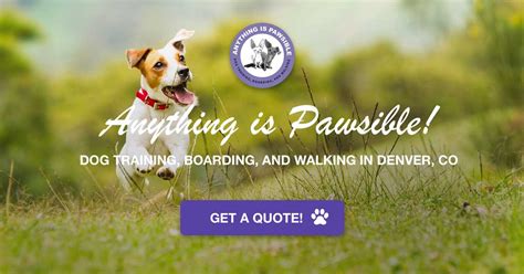 Anything’s Pawsable Dog Walking And Petcare services
