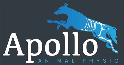 Apollo Animal Physiotherapy & Hydrotherapy