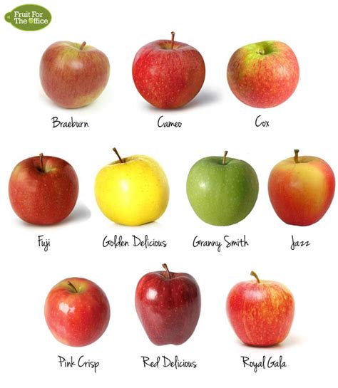 Fruit Types