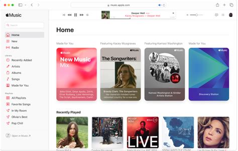 Apple Music Catalog Search
