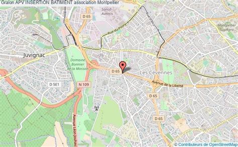 Apv Insertion à Montpellier