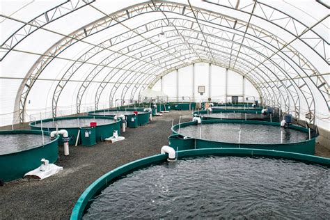 Aquakulturfarm
