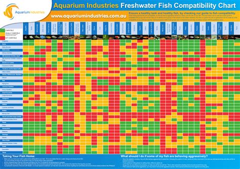 Aquarium Compatibility Chart