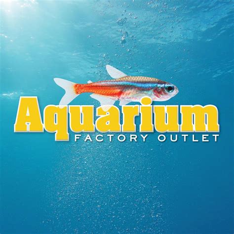 Aquarium Factory Outlet