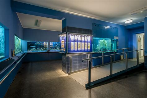 Aquarium im Naturkundemuseum Potsdam