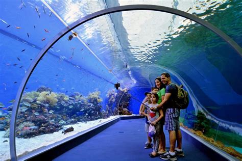 Aquarium world