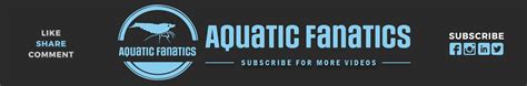 Aquatic fanatics