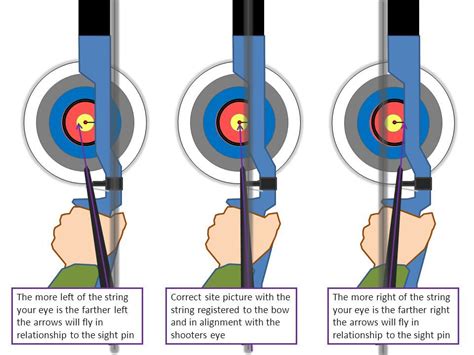Archery Sight Adjustment Chart