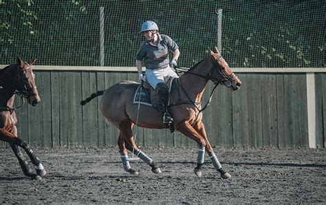 Ash Farm Polo Club